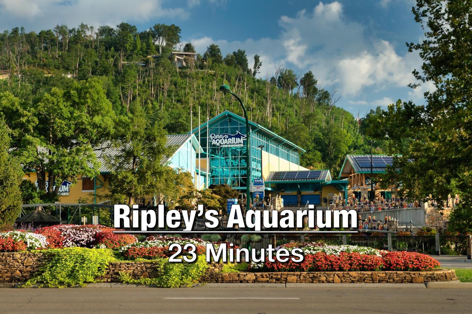 New Luxury Cabin With Stunning Mountainviews,Hottub, Firepit, Fireplace,2 Kingbeds, 2 Covereddecks,Bbqgrill, Shuffleboard And Pool Access Sevierville Luaran gambar